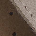 Ivory 107001 Kadın Çapraz Bant Konfor Anatomic Terlik