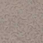 Kamila 6319 Kadın Terlik