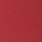 Lauren Kadın Terlik