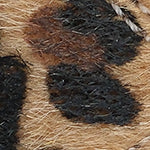 Karly Kadın Sneaker