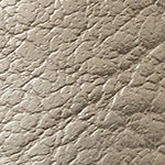 Karly Kadın Sneaker