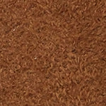 Calypso Kadın Loafer LNP