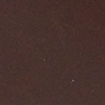 Lee Büyük Tokalı Anatomik Mantar Tabanlı Deri Terlik