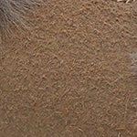 Marietta Kadın Terlik