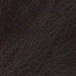 Roberta Metal Tokalı Kadın Çizme