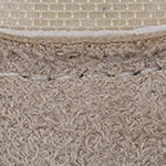 Fiona Kadın Sneaker Spor Ayakkabı