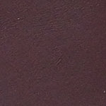 Lesley Kısa Topuklu Küt Burunlu Tokalı Kadın Terlik