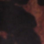 Lou Orta Topuklu Çiçekli Saten Kadın Terlik