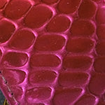 Mavis Küt Burunlu Yılan Desenli Çapraz Bantlı Orta Topuklu Metalik Kadın Terlik