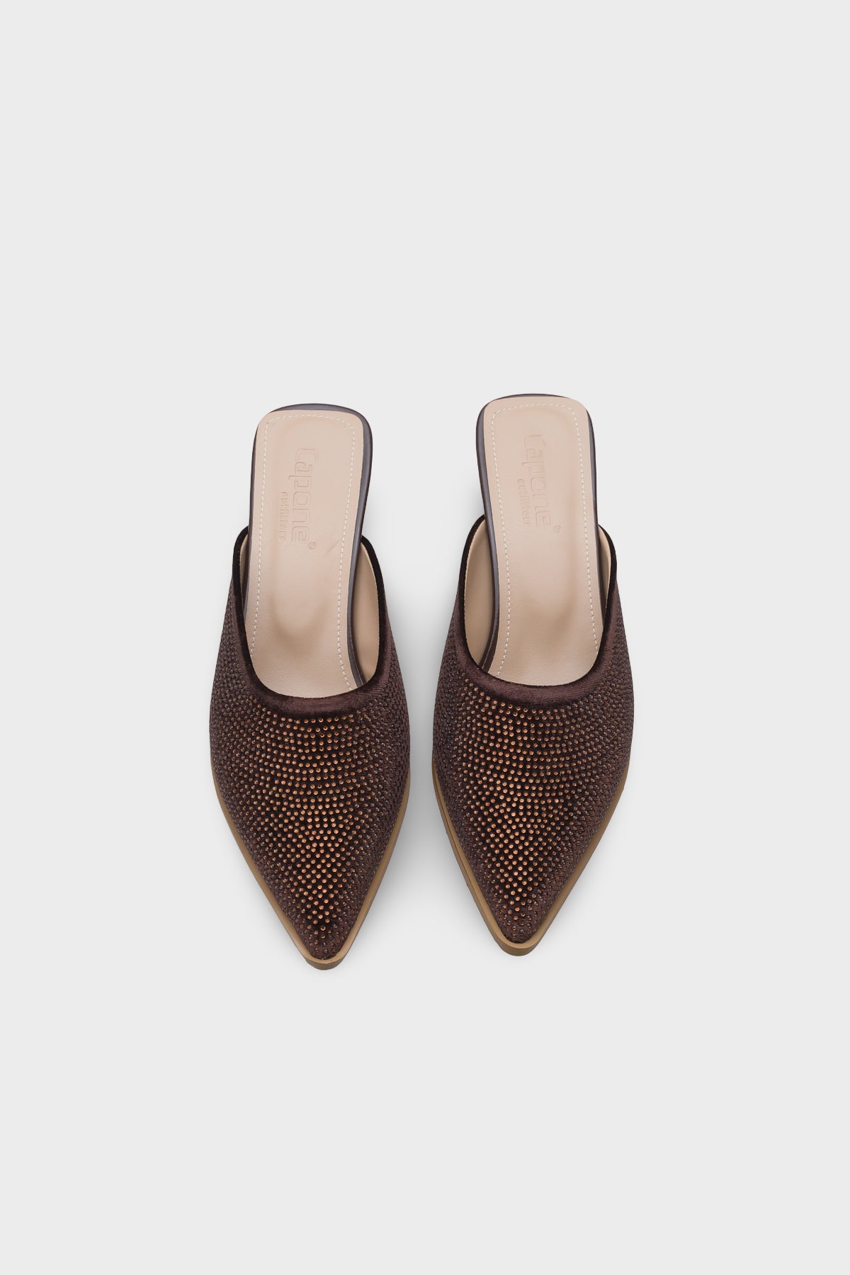 Ivy Sivri Burunlu Taşlı Burnu Kapalı Kadın Terlik