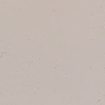 Nana Küt Burunlu Metal Aksesuarlı Kadın Terlik