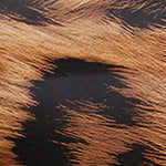 Sabrina Orta Topuklu Yumuşak Pedli Taban Kadın Ayakkabı