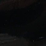 Catherin Sivri Burunlu Kalın Orta Topuklu Bantlı Kadın Ayakkabı