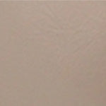 Susanne Orta Topuklu Metal Tokalı Kadın Terlik