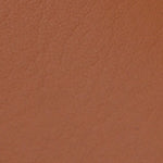 Gui Saraçlı Deri Kadın Ayakkabı