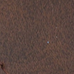 Z6312 Kadın Konfor Anatomic Sandalet