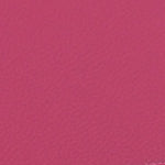 Cilt Halsey Kadın Terlik