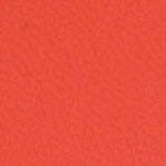 Lauren Kadın Terlik