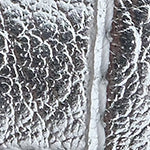 Enrika Kadın Sneaker