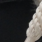 Agatha Kürklü Kadın Bot