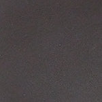 Lesley Kısa Topuklu Küt Burunlu Tokalı Kadın Terlik