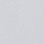 Lesley Kısa Topuklu Küt Burunlu Tokalı Kadın Terlik