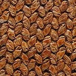 Terran Kadın Çanta