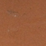 Lyssa Baş Parmak Detaylı Bantlı Kadın Deri Terlik