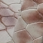 Lyssa Baş Parmak Detaylı Bantlı Kadın Terlik