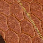 Maddy 8098 Hakiki Deri Kadın Bodrum Terlik