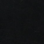 Stacy Dolgu Tabanlı Kadın Bot