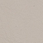 Marice Taşlı Tokalı Düz Topuklu Kadın Terlik