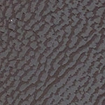 Elinor Kısa Topuklu Kadın Bot