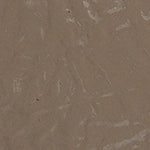 Arlina Tek Bant Kemerli Kadın Babet