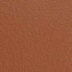 Carly Hakiki Deri Metal Tokalı Kadın Loafer Ayakkabı