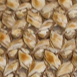 Dana Hakiki Deri Dolgu Topuk Hasırlı  Konfor Kadın Terlik